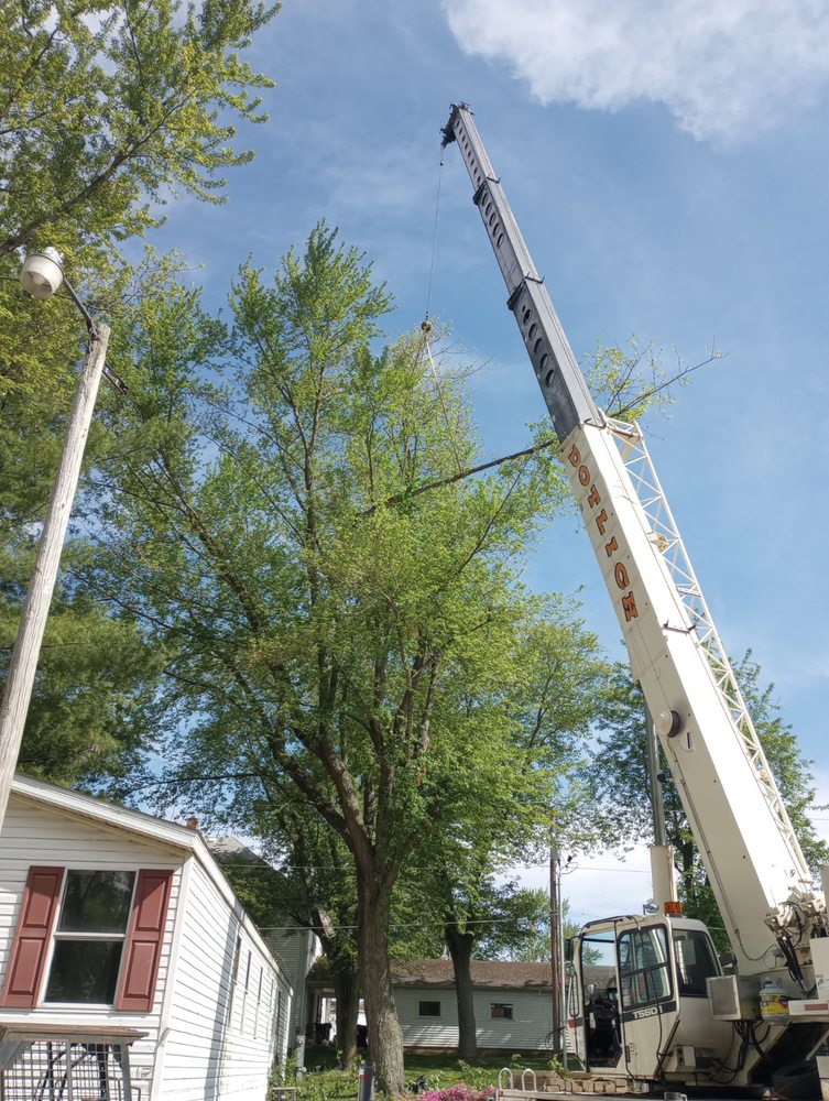 Crane lifting tree sections during a residential tree removal